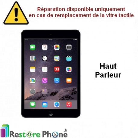 Reparation Haut Parleur iPad Mini 1, 2 et 3